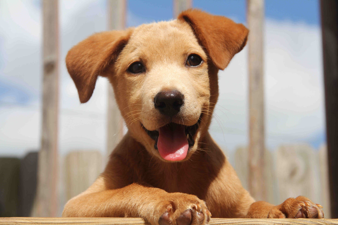 5 Easy Ways to Reduce Stress and Become a Happier Person